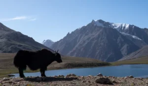  Hunza Valley