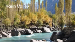 View of Yasin Valley