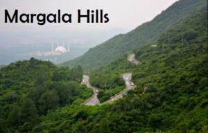 Margala hills